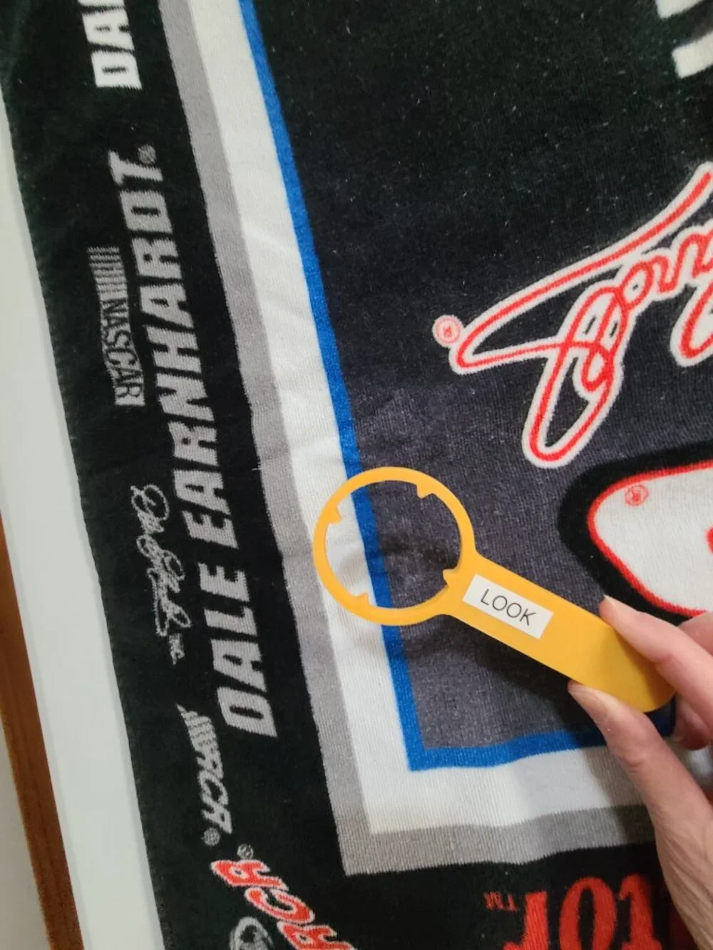 Nascar dale earnhardt